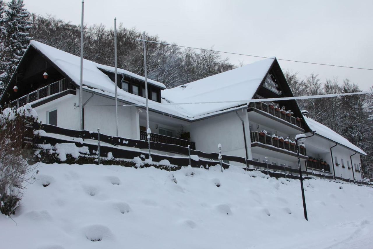 Pension Walddorf Winterberg Exterior photo